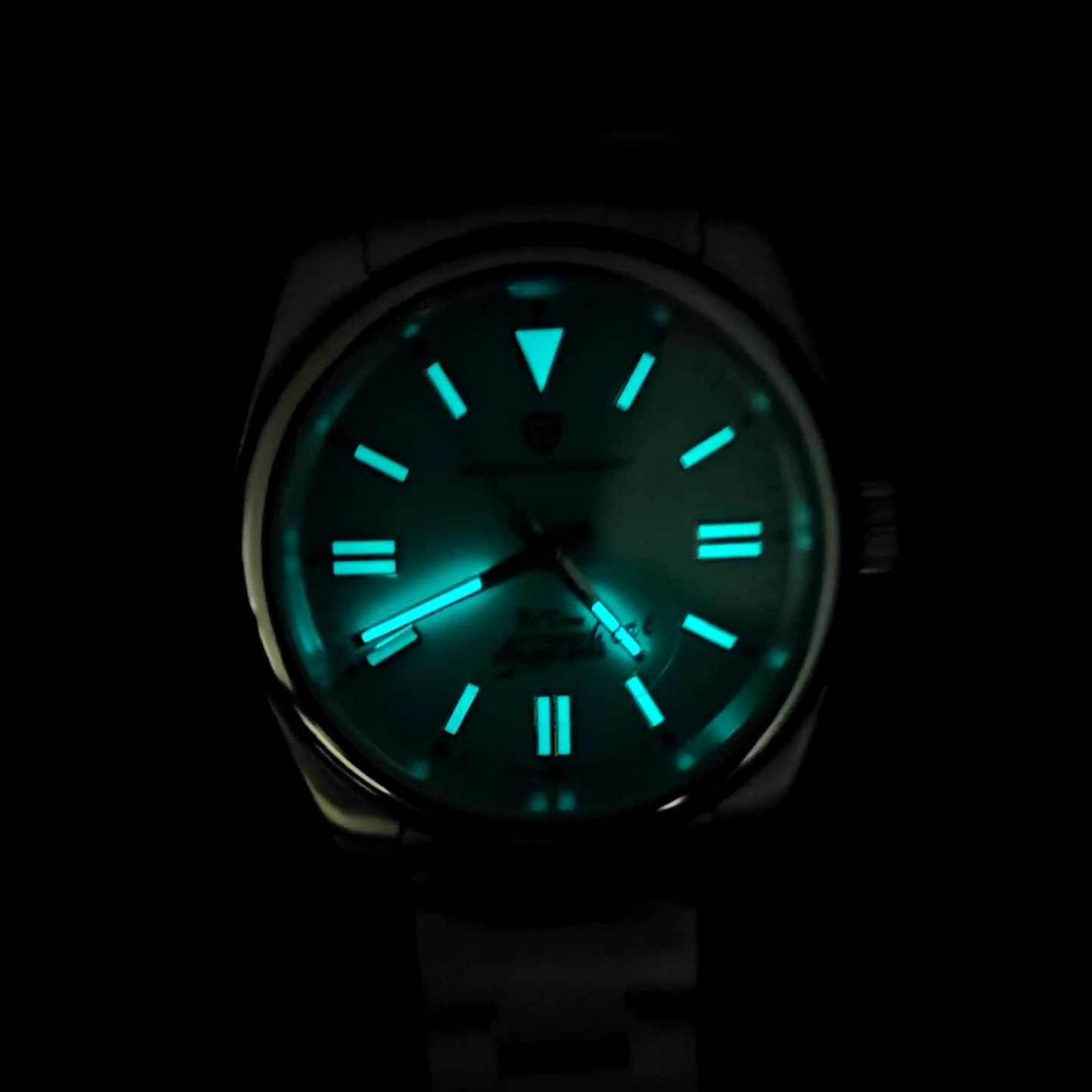 PAGANI DESIGN Lüks Klasik Erke - Seiko Watch Prospex incelemesi ve fiyatı